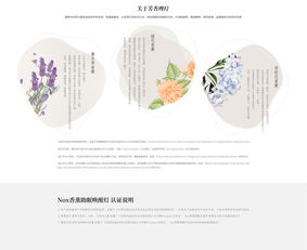 軟件開發(fā) 關(guān)鍵要素、參數(shù)與用戶體驗分析